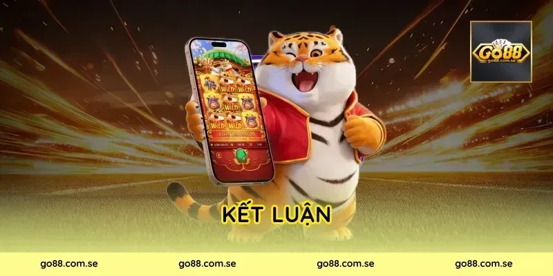 Kết luận